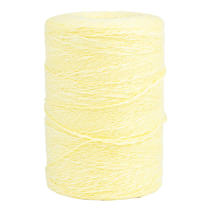 Maurice Brassard Cotton Slub Ne 8/2 – 100% Baumwolle - 227g – 21 Farben